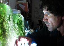 plantas nomadas plantas nomadas